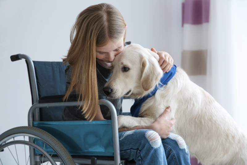 Girl in wheelchair with dog
